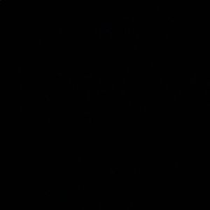 Meet your Posher, Adamariz